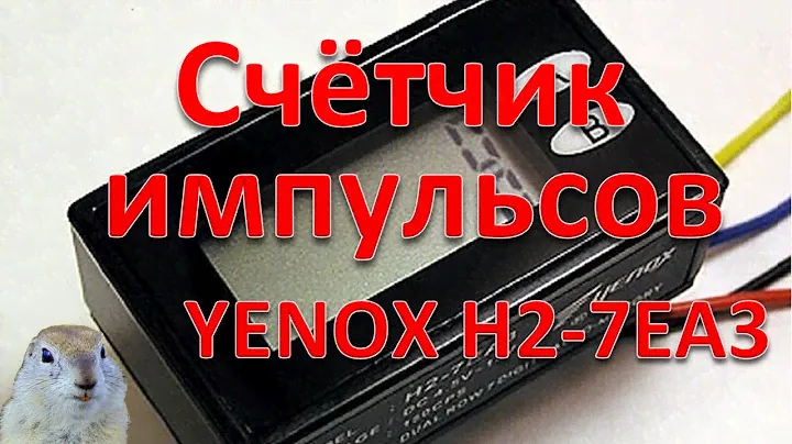 ✔️СЧЁТЧИК ИМПУЛЬСОВ YENOX H2-7EA3 ✔️Обзор. Толстый Суслик